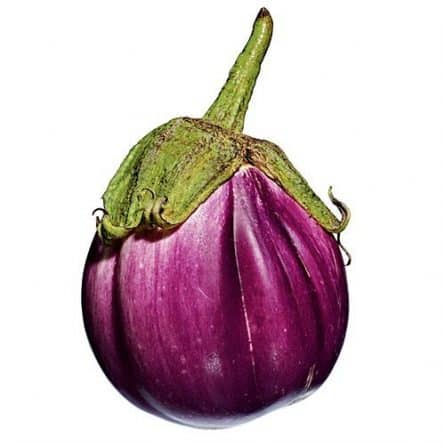 Single Rossa Bianco Aubergine from Panzer's Round
