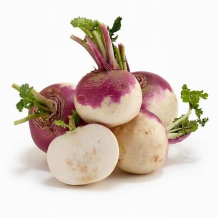 Baby Turnip in a Pack from Panzer's