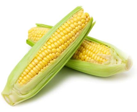 Corn on The Cob