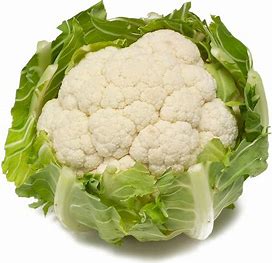 Head of Organic Cauliflower from Panzer's