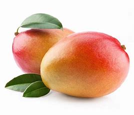 Mango - Kent Small