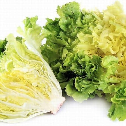 Heads of Escarole Salad from Panzer's