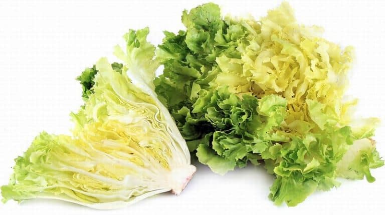 Heads of Escarole Salad from Panzer's