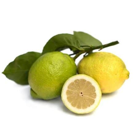 Unwaxed Italian Lemon from Panzer's