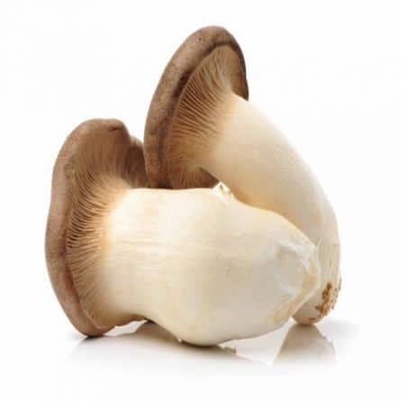 Two single King Oyster Mushrooms from Panzer's