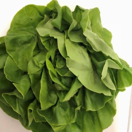 French Green Butter Salad From Panzer's Round