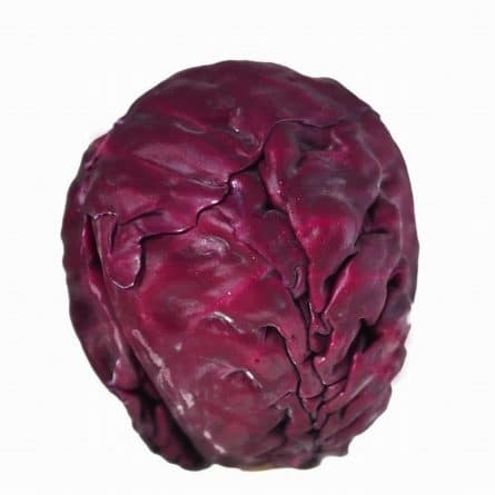 Head of Red Cabbage on a White Background from Panzer's