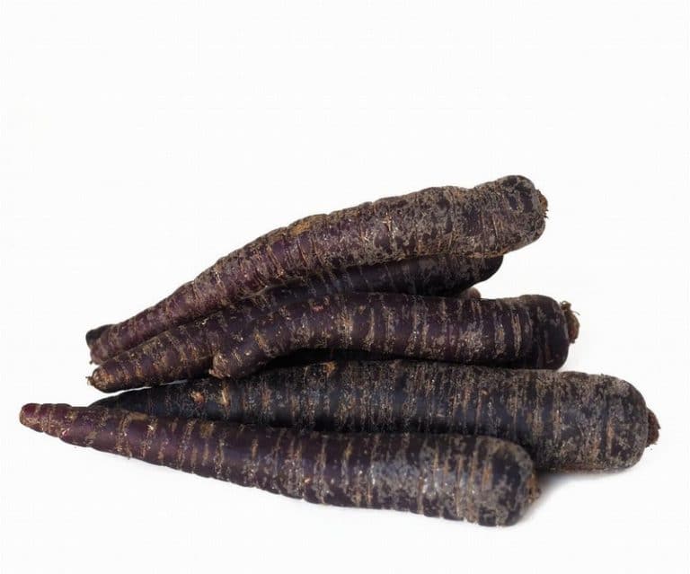 Purple carrots Heap Close from Panzer's