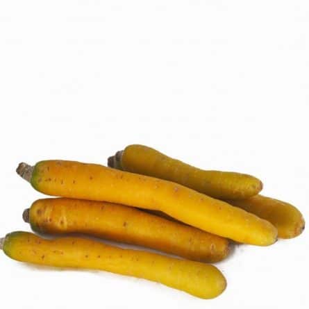 Carrots - Yellow