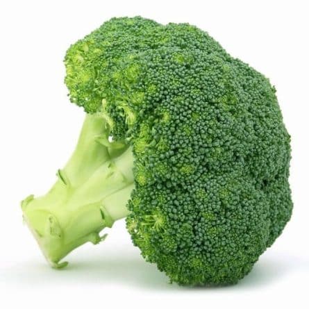 Head of Broccoli Florets from Panzer's