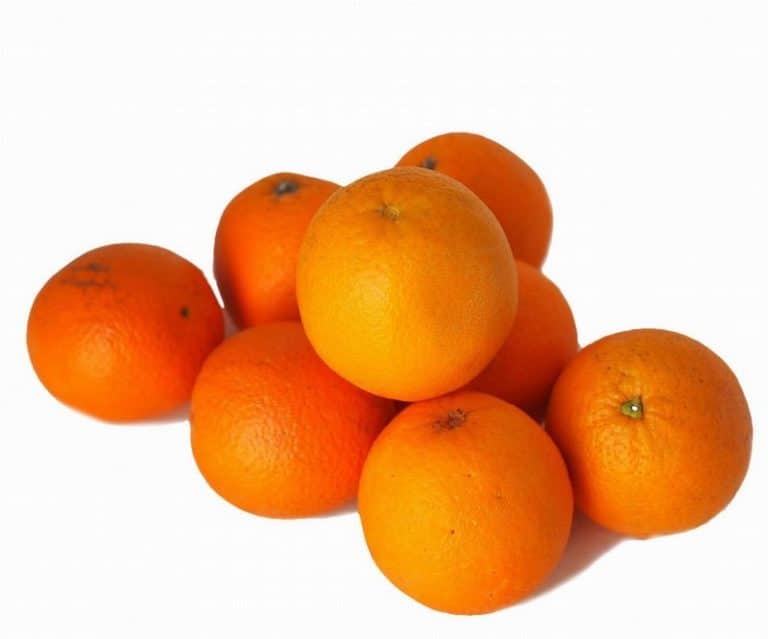 Juicing Orange from Panzer's