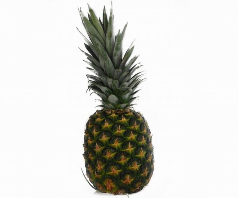 Large Pineapple from Panzer's