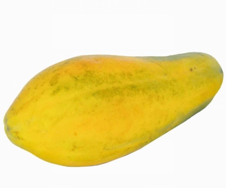 Papaya-Large - Image 2