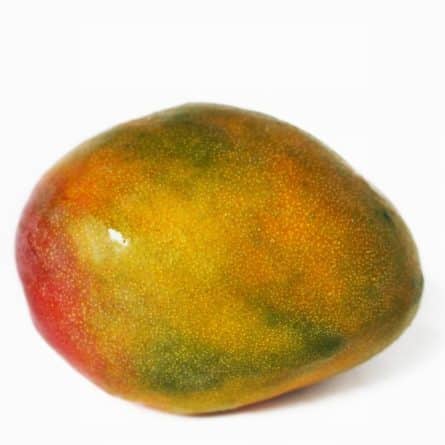Mango - Kent Large