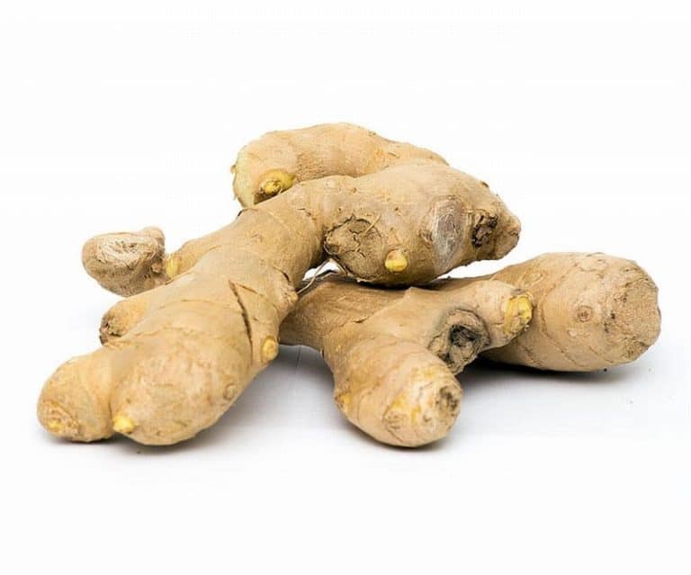 Ginger Roots Heap Close from Panzer's