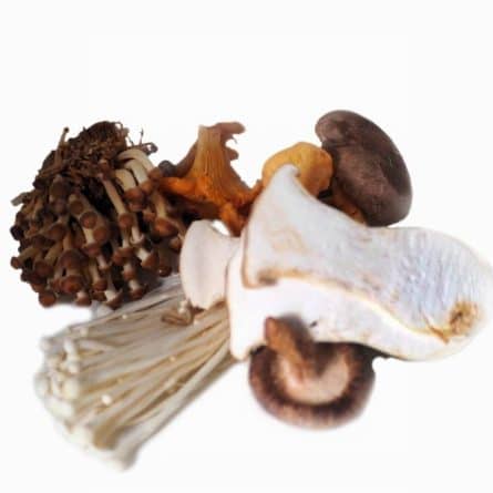 Mushrooms Mix - Large Punnet