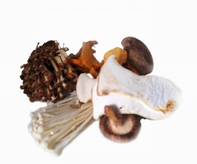 Large Bunch Of Mixed Mushrooms from Panzer's
