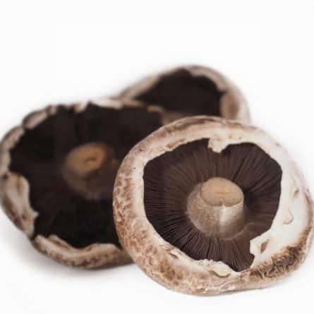 Mushrooms - Portobello