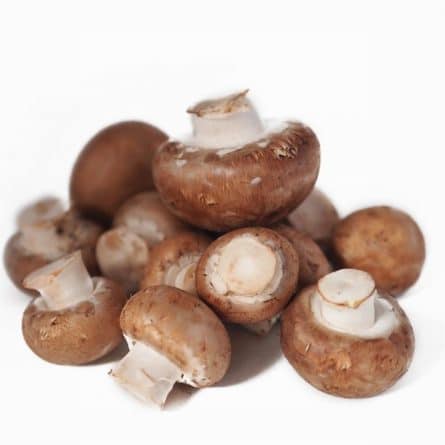 Mushrooms - Chestnut