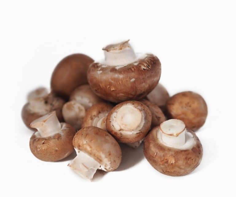 Loose Chestnut Mushrooms from Panzer's