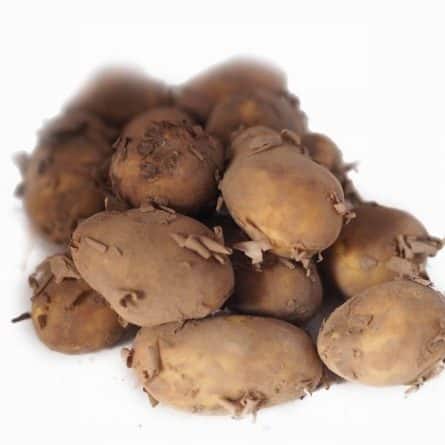 Jersey Royal Potatoes from Panzer's