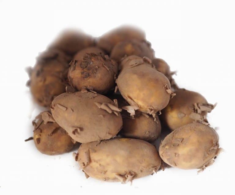 Jersey Royal Potatoes from Panzer's