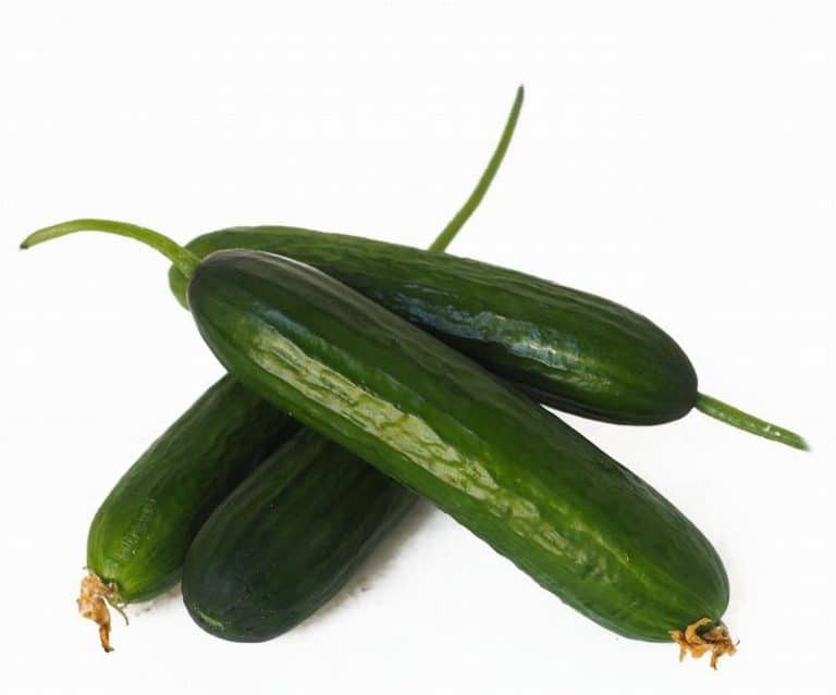 Baby Cucumbers from Panzer's