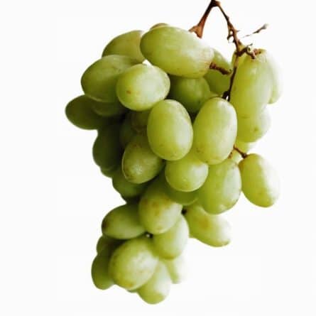 White Seedles Grapes from Panzer's