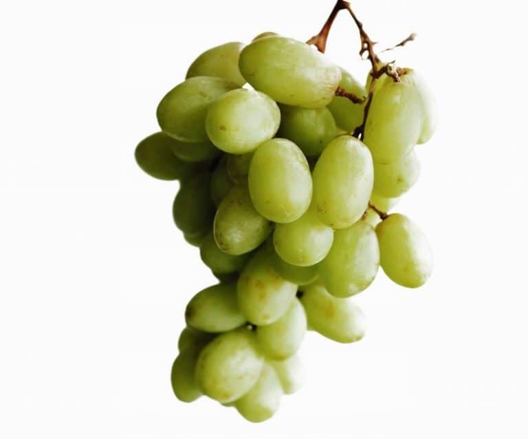 White Seedles Grapes from Panzer's