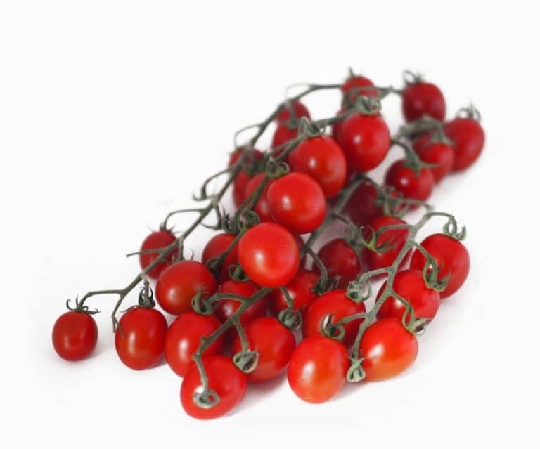 Tomatoes - Cherry Vine
