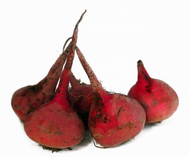 Candy Beetroot Heap Close from Panzer's