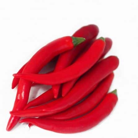 Red Chillies Heap Close from Panzer's