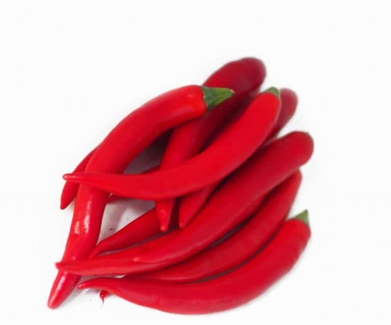 Red Chillies Heap Close from Panzer's