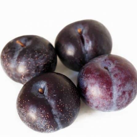 Fresh Black Plum from Panzer's