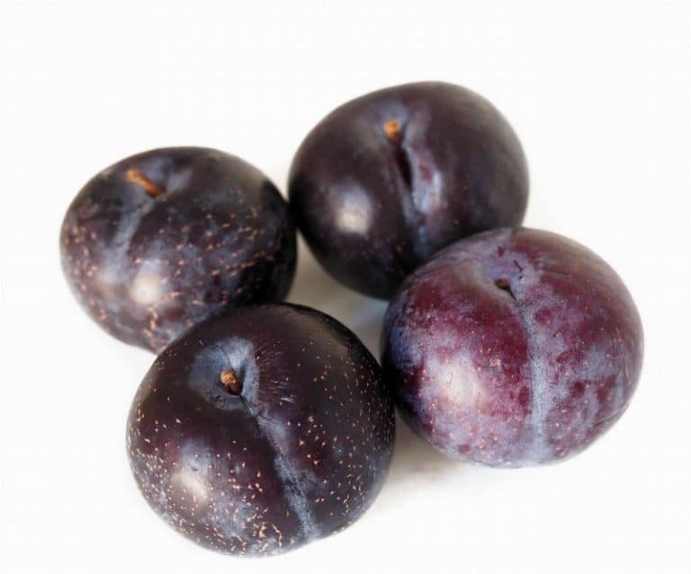 Fresh Black Plum from Panzer's