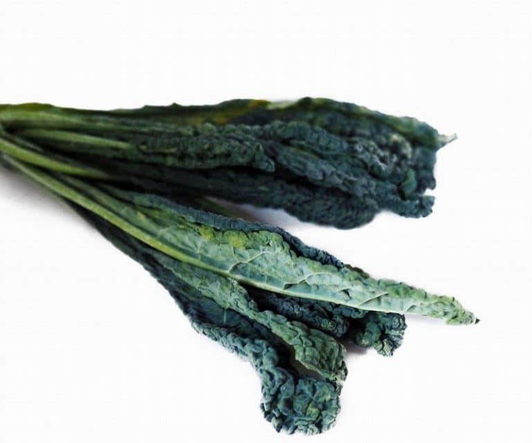 Cavolo Nero