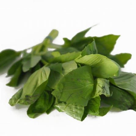Bunch of Fresh Basil from Panzer's