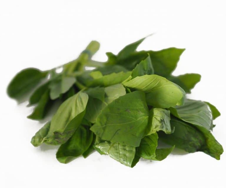 Bunch of Fresh Basil from Panzer's