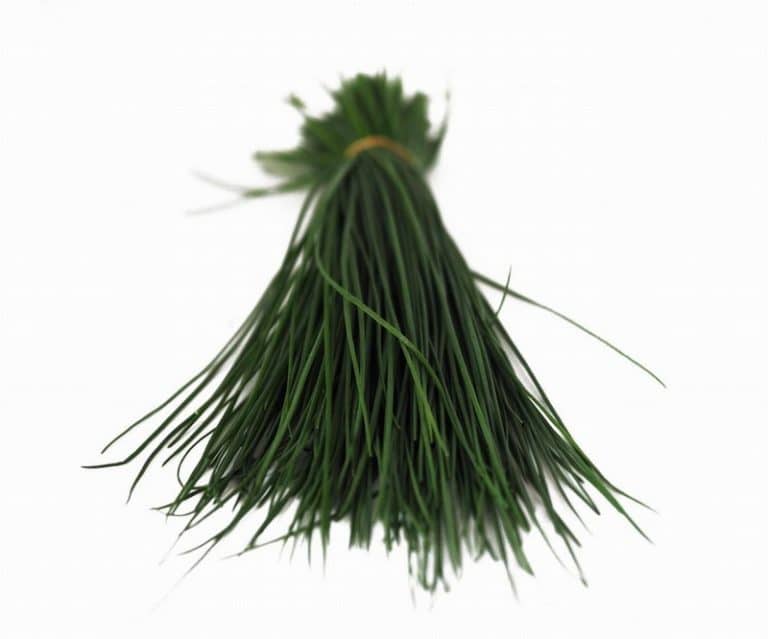 Pack Of Chives from Panzer's
