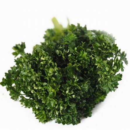 Bunch of Curly Parsley from Panzer's