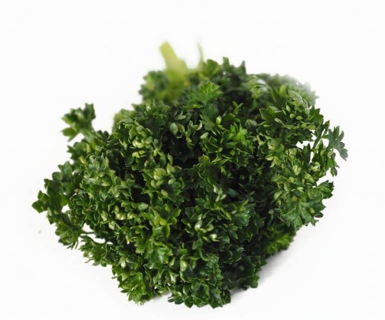 Bunch of Curly Parsley from Panzer's