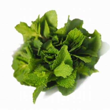 Bunch of Fresh Mint from Panzer's