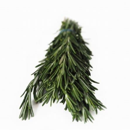 Bunch of Rosemary from Panzer's
