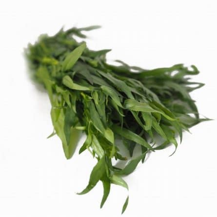 Bunch of Fresh Tarragon from Panzer's