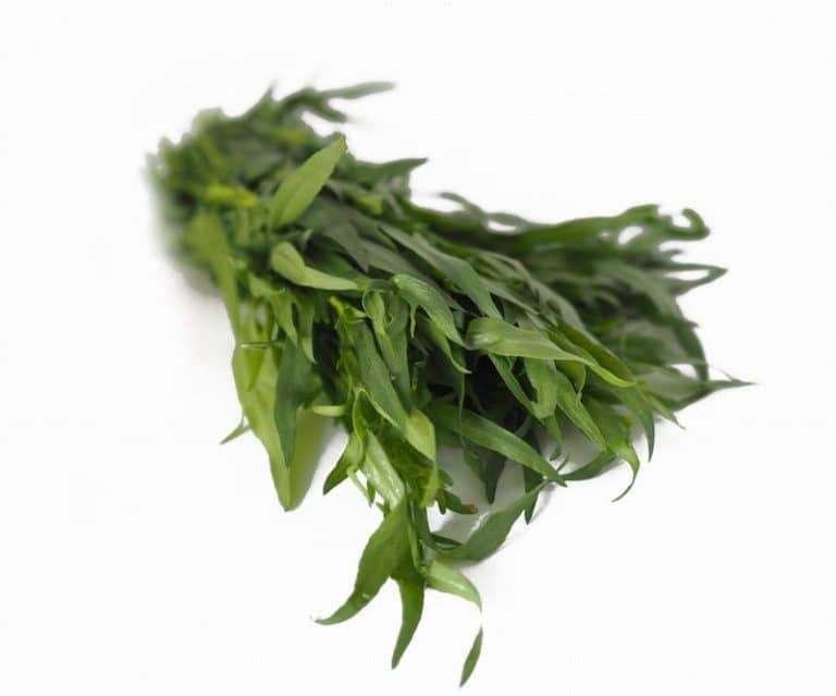 Bunch of Fresh Tarragon from Panzer's