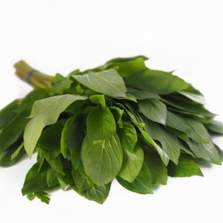 Bunch of Thai Basil from Panzer's