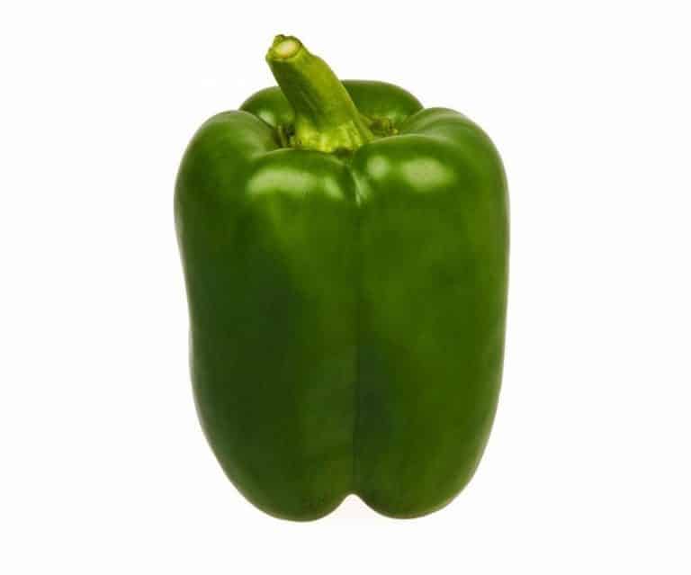 Single Green Cap Pepper from Panzer's