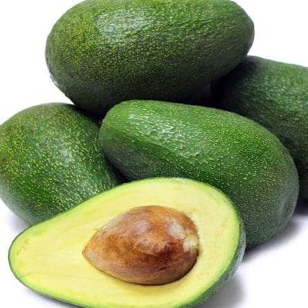 Fuerta Avocado on a white Background from Panzer's