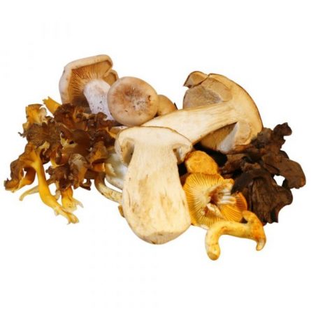 Mixed Mushroom Heap Close from Panzer's