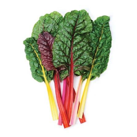 Chard Organic Rainbow - Bunch